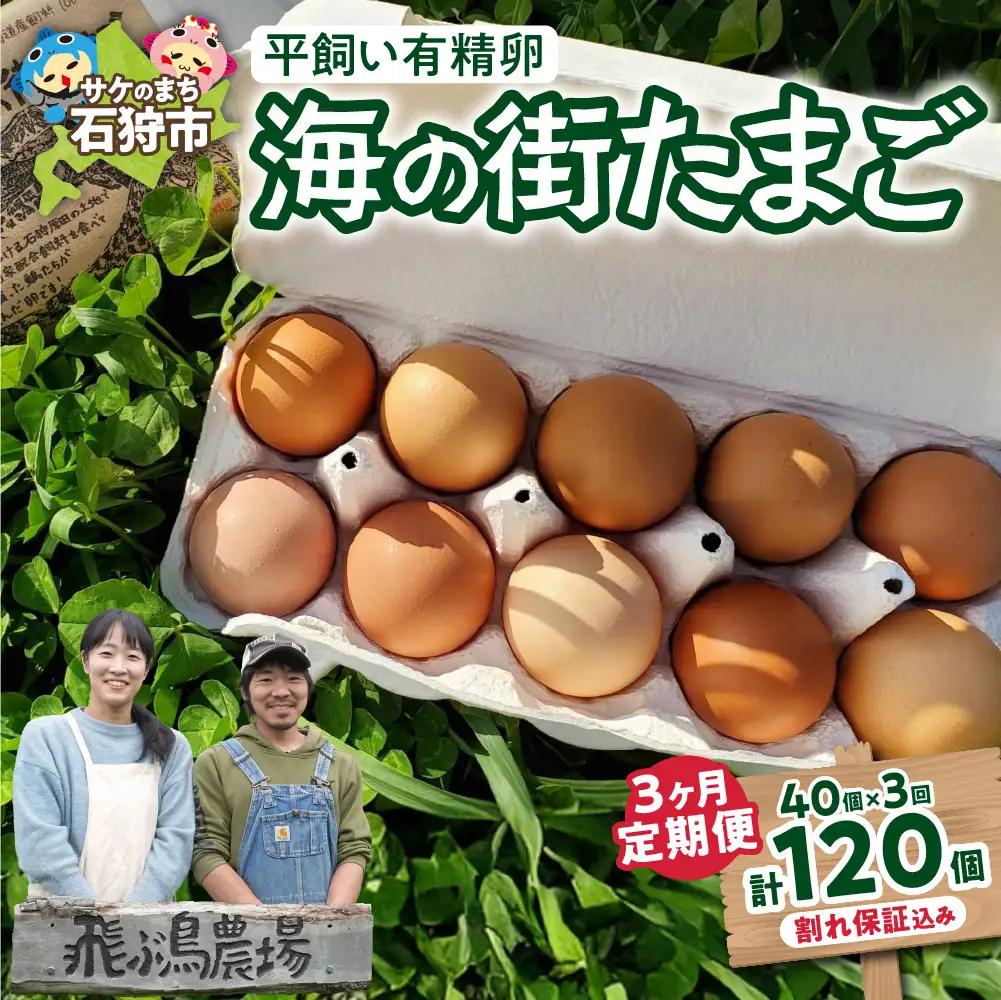 【定期便】飛ぶ鳥農場　海の街たまご　40個×3か月 ｜ 鶏卵 平飼い 有精卵 北海道石狩市