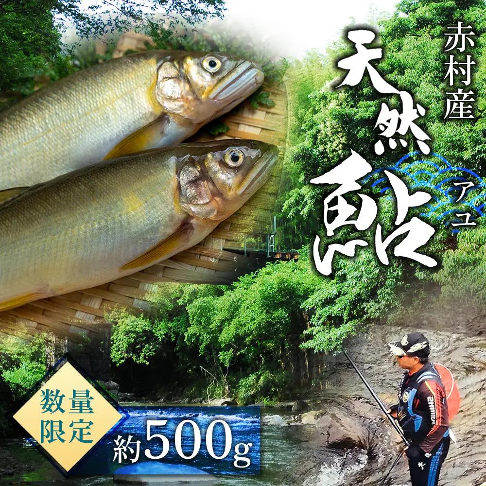 冷凍鮎　約500g 鮎 川魚  3E5
