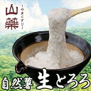 【ふるさと納税】自然薯の味をお楽しみください。自然薯生とろろ100g×10pセット【とろろ 極上とろろ 山芋 箱根 お家用 家庭用 国産 セット商品 自然薯 味付とろろ 神奈川県 小田原市 】