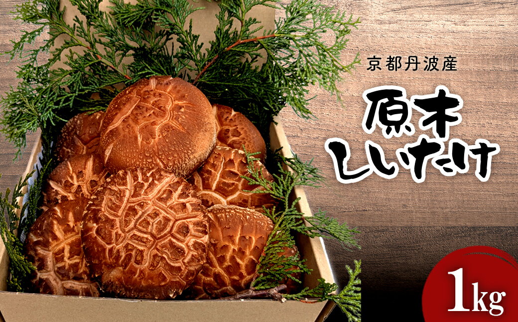 【ふるさと納税】【先行予約】【2025年12月中旬より発送開始！】 京都丹波産　原木しいたけ　1kg 【ふるさと納税 しいたけ シイタケ 椎茸 原木 自家栽培 煮物 炒め物 京都府 福知山市】 FCFB005