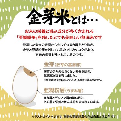 ふるさと納税 飯能市 埼玉県産 金芽米(彩のきずな)【BG無洗米】10kg |  | 01