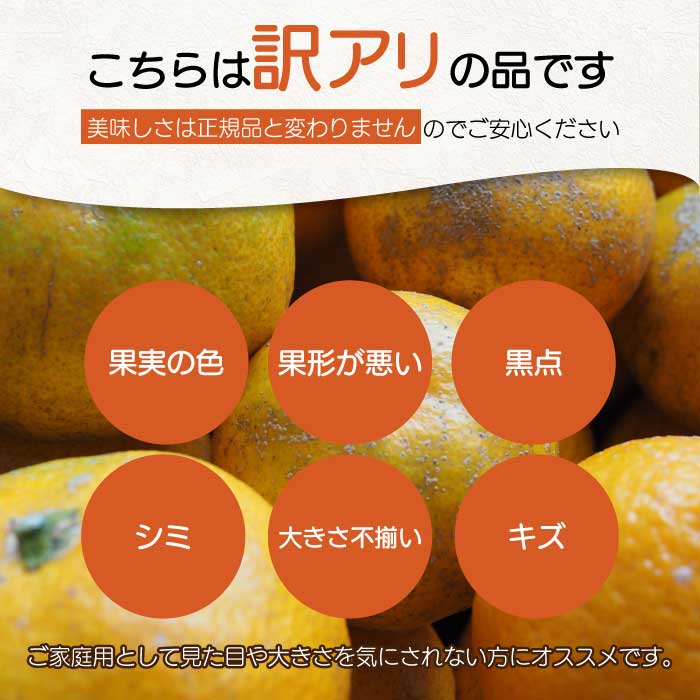 【おくはち農園】〈訳あり〉はるみ 4.5kg  《2027年2～3月発送予定》栽培期間中 防腐剤 ワックス 不使用 旬 柑橘 かんきつ フルーツ 果物 瀬戸内 166008 