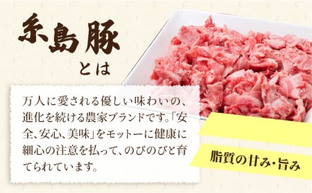 【全12回定期便】毎日のメインのおかずを彩る精肉セット 1,050g 2-3人前 4種 糸島市/糸島ミートデリ工房[ACA203]