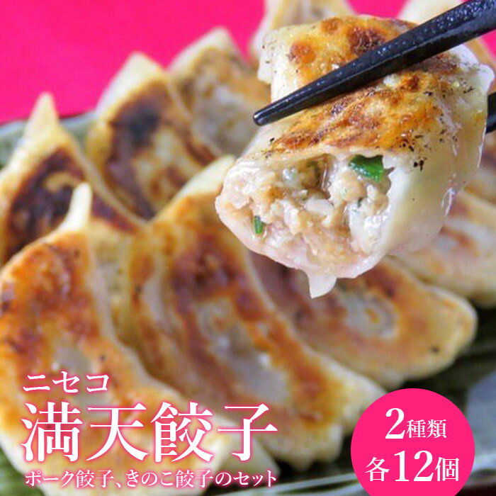 【ふるさと納税】ニセコ満天餃子　ポーク餃子、きのこ餃子のセット【09138】