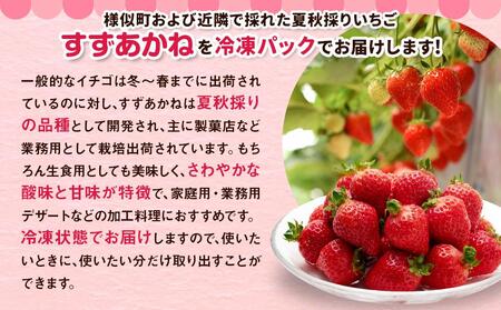 訳あり北海道ひだか東産 冷凍いちご「すずあかね」「すずりっか」（真空パック1.0kg×2袋）