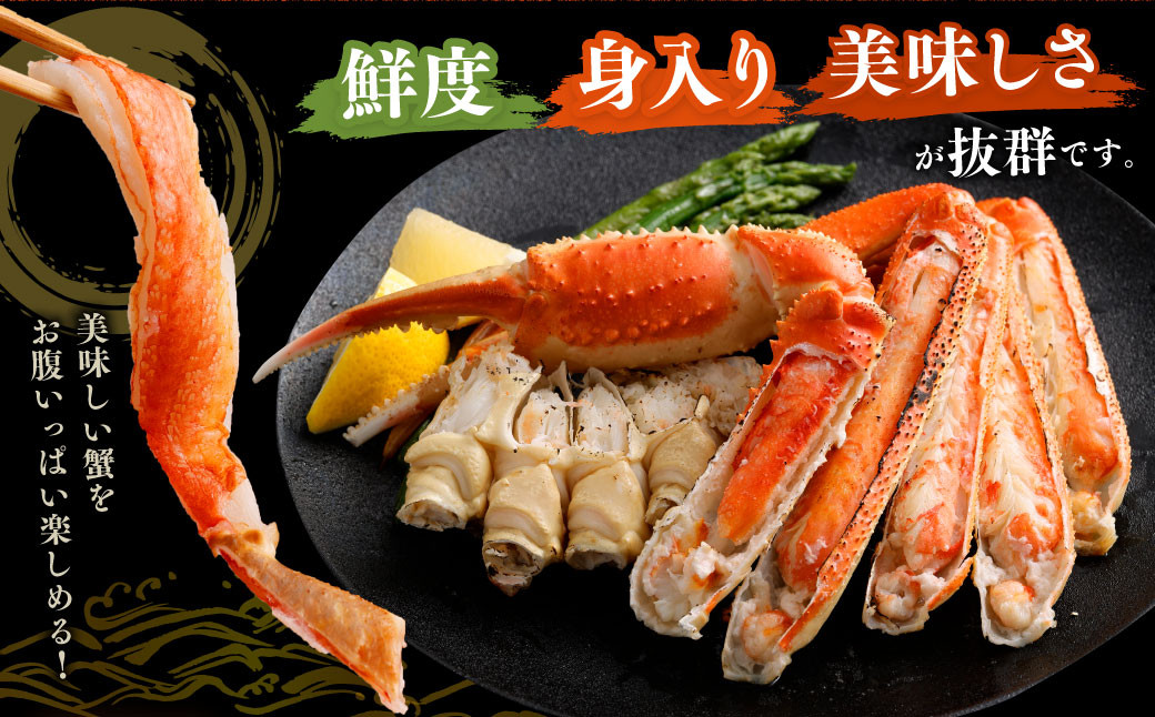 ボイル ズワイ蟹 特大サイズ 2肩 800g  ｜海鮮 カニ かに 蟹 ズワイガニ ずわい蟹 5Lサイズ 特大 ボイル 冷凍