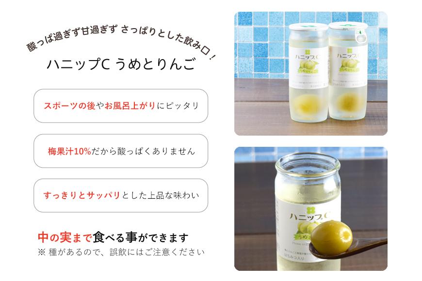 果実入り清涼飲料水 ハニップC2種類セット