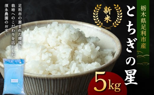 令和7年産 新米 栃木県足利市産とちぎの星5kg 精米 白米 米 こめ ごはん 食品 栃木県 足利市 F7Z-1815