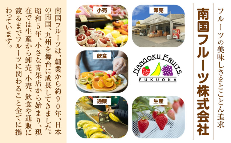 福岡県産 春あまおう 4パック 南国フルーツ株式会社《2月上旬-3月末頃出荷》福岡県 小竹町 あまおう いちご イチゴ 送料無料【配送不可地域あり】---sc_cnngkam_af2_25_14000