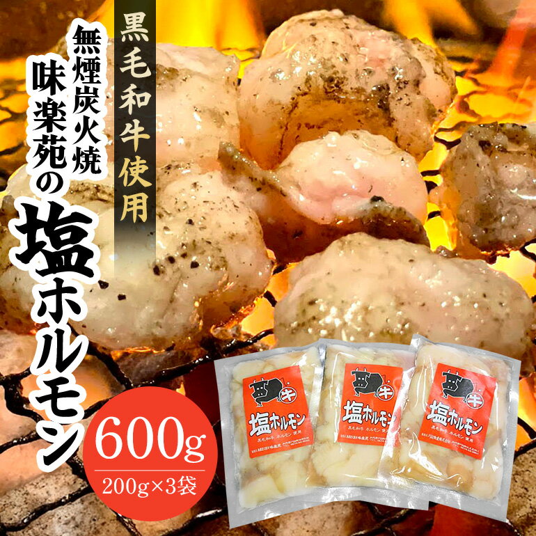 【ふるさと納税】味楽苑の塩ホルモン 600g (200g×3袋)│黒毛和牛 ホルモン 牛 小分け 冷凍 さっぱり 塩味 牛ホルモン 和牛 焼肉 ホルモン焼きホルモン炒め もつ鍋 焼肉用 おつまみ 料理 味付 パック お手軽 簡単調理 岐阜県 川辺町 (A-13/A-1)