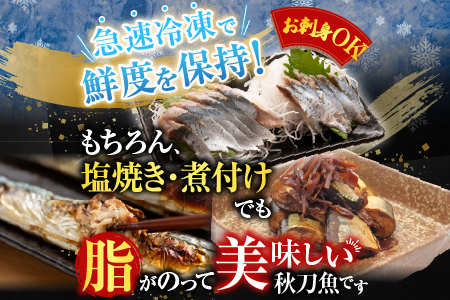【北海道根室産】タラバガニむき身300g×1P・冷凍さんま5尾×3Pセット B-36048