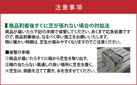 TM9 （ ティーエムナイン ） 省管理型コウライシバ トヨタ自動車(株) 開発品種 50平米 KN080-007-05 芝生 芝 庭 お庭づくり 高品質 新鮮 期間限定 限定 美景観 省管理 お手入