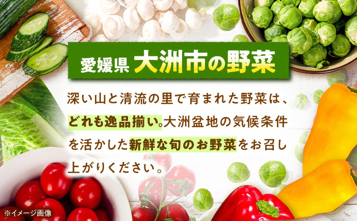 【先行予約】【2025年1月初旬より順次発送】土の恵みそのままに！ 大洲産 泥付きレンコン 約2.5kg　愛媛県大洲市/沢井青果有限会社 [AGBN021]レンコン 蓮根 常備菜 野菜 キンピラ 天ぷ