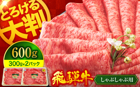 【12/16決済分まで年内発送】飛騨牛 しゃぶしゃぶ用 600g（300g×2）【マルゴー】和牛 A5等級 すき焼き ギフト [MBE066]