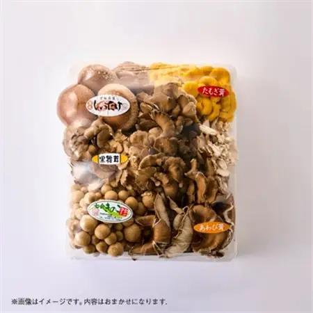 茨城県城里町産 きのこの詰め合わせ Sサイズ 約1kg_野菜  きのこ _【配送不可地域：離島・沖縄県】【1593968】