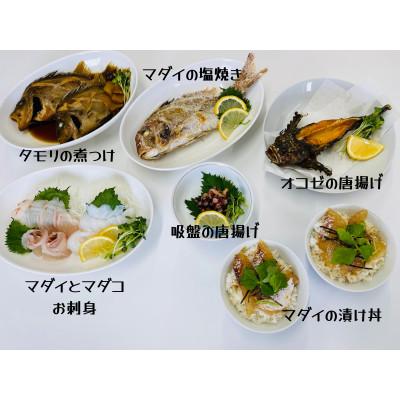ふるさと納税 竹原市 瀬戸内「天然」お刺身・お魚セット(急速凍結)A102 |  | 02