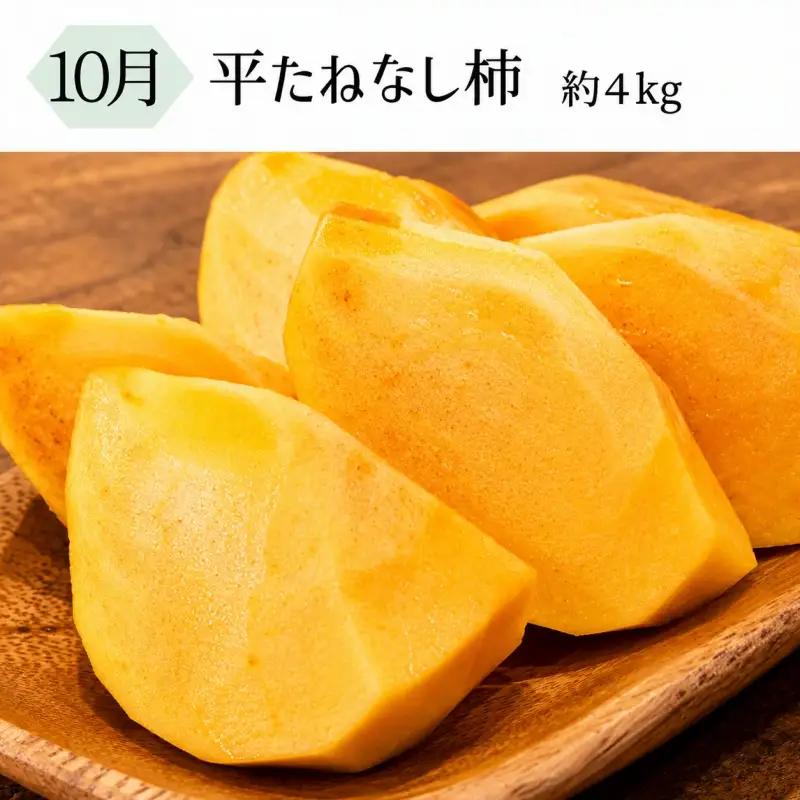 定期便 【全3回定期】果物定期便 バレンシアオレンジ 桃 柿【tkb142】
