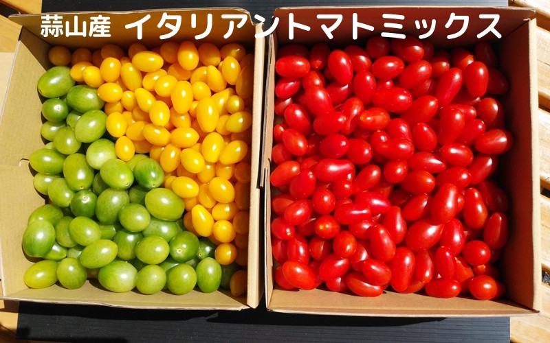 
            亮麻農園　イタリアントマトミックス「ロッソナポリタン」＆「ナポリターナカナリア」＆「サリーナエメラルド」【ryoma004】
          