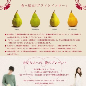 先行予約 [規格を厳選] ル レクチエ 4kg [11月下旬から発送予定] 令和7年度 洋梨 天果糖逸 新潟県産 ル・レクチェ 【020S026】