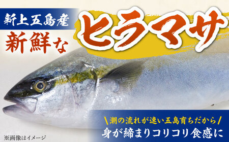 　【五島列島直送】ヒラマサ漬け丼(海鮮丼) 80g×10食　魚 海鮮 漬け丼 新鮮 国産 魚介 長崎 五島 上五島【有福水産】[RBV005]