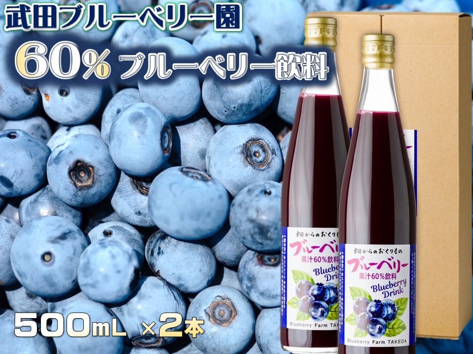 
60％ブルーベリー果汁入り飲料 2本セット【V002110】
