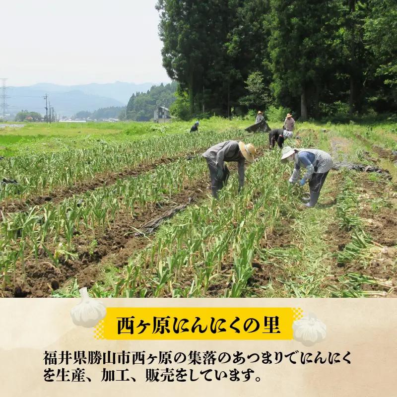 にんにく味噌 甘口 3個セット [A-017004]