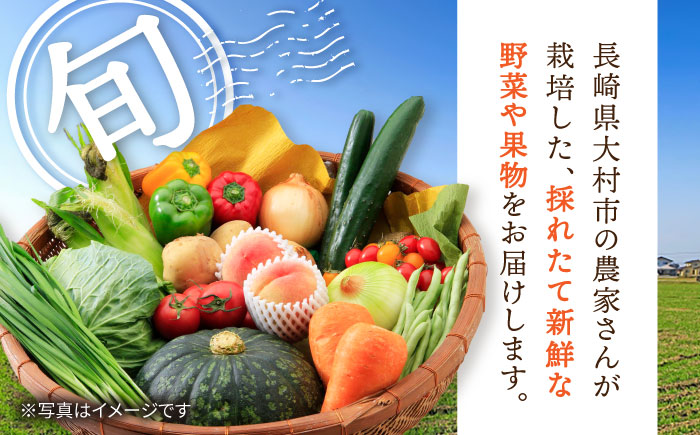 【12回定期便】野菜果物定期便コース / 野菜 フルーツ 果物 定期便 旬 / 大村市 / おおむら夢ファームシュシュ[ACAA092]