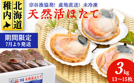 【先行受付】宗谷漁協発!産地直送!活ほたて約3kg(13～15枚入)刺身 海鮮【配送不可地域：離島・沖縄県】