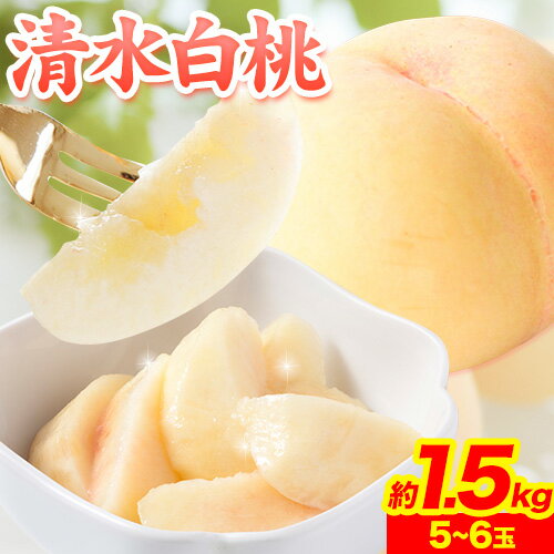 【ふるさと納税】 【先行予約】 清水白桃 約1.5kg (5〜6玉) 水車の里フルーツトピア 《7月下旬から8月中旬頃に出荷予定》 岡山 白桃 岡山県 矢掛町 桃 モモ 果物 スイーツ フルーツ デザート 白桃