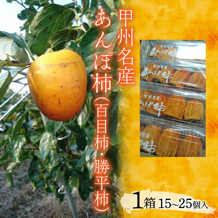 【ふるさと納税】＜2026年11月下旬以降発送先行予約＞甲州名産　あんぽ柿（百目柿・勝平柿）1箱（5パック入り） ふるさと納税 おすすめ 山梨県 南アルプス市 送料無料 ALPCM007