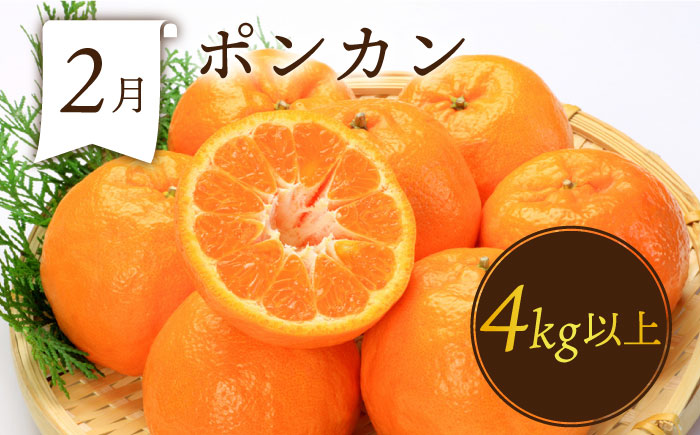 【6回定期便 偶数月コース】フルーツ定期便 旬のフルーツをセット / ハウスびわ メロン ぶどう 巨峰 みかん など / 定期便 旬 フルーツ 果物 春フルーツ 夏フルーツ 秋フルーツ 冬フルーツ /
