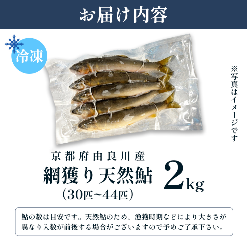 天然鮎 網獲り 冷凍 約2kg（約30匹〜44匹）【 由良川の網獲り 由良川漁協 冷凍あゆ 冷凍鮎 高鮮度 冷凍 あゆ 鮎 魚 さかな 舞鶴 京都 】 