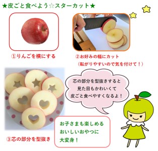【2025年6月中旬発送】りんご有袋ふじ3kg特選(スマートフレッシュTM貯蔵またはCA貯蔵・クール便)