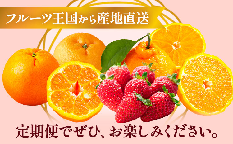 【発送月固定定期便】紀州和歌山県産 旬のフルーツ (いちご・ポンカン・紀州デコ) 全3回 Mセット 魚鶴商店《1月上旬-3月下旬頃出荷》 和歌山県 日高町 まりひめ いちご ポンカン 紀州デコ 不知火