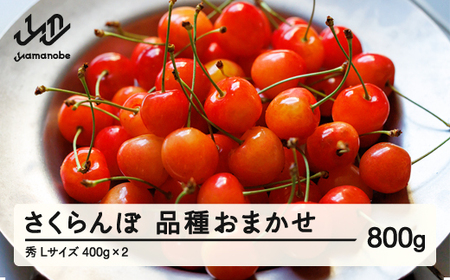 【先行予約】さくらんぼ 品種おまかせ 秀品 400g×2パック L玉 2026年産 令和8年産 山形県産 mm-saosx800