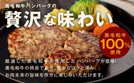 【黒毛牛肉100%】極み ハンバーグ 180g×20P BIGサイズ 総量 3.6kg【ハンバーグ 牛肉 ハンバーグ 黒毛和牛 100% ハンバーグ 極み ハンバーグ プレミアム ハンバーグ 大型 ハ