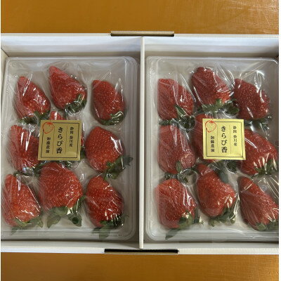 【ふるさと納税】【先行予約】いちご【きらぴ香】1箱 (1箱2パック入り 約450g×2)【配送不可地域：離島・北海道・沖縄県・四国・九州】【1638885】