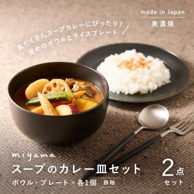 ふるさと納税 瑞浪市 miyama.のカレーのうつわ　スープのカレー皿セット　鉄黒釉