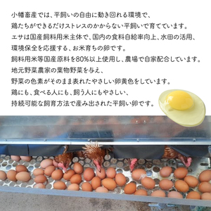 ひたち野 穂の香卵 50個 平飼い やさしい【小幡畜産】 190