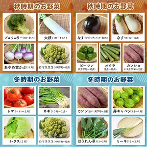 野菜セット 季節の奥久慈野菜 詰め合せセット（春、夏、秋、冬） 特産 詰め合わせ 旬 直送 【野菜セット】【ho1483】