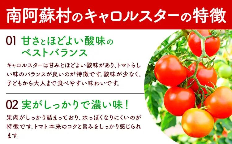 ミニトマト キャロルスター 約3kg ますだふぁーむ《7月上旬-11月末頃出荷》熊本県 南阿蘇村 キャロルスター 野菜 旬 夏野菜 トマト