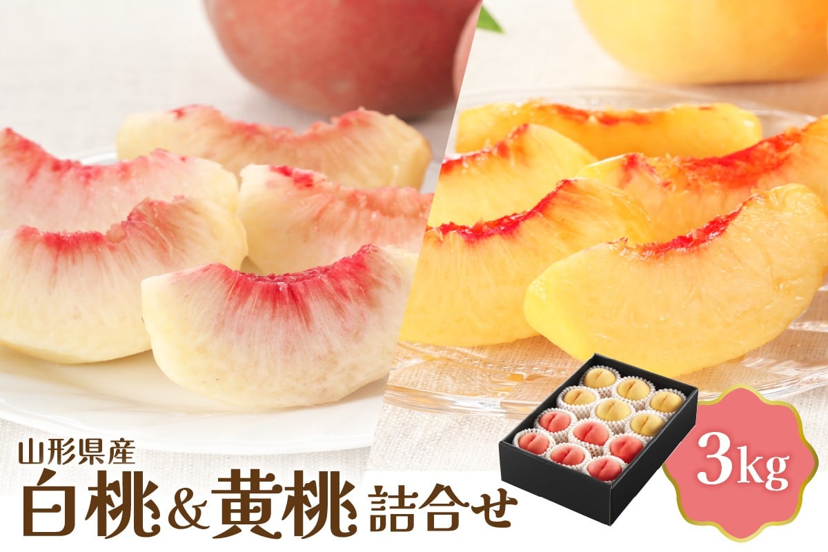 
            【令和8年産】白桃＆黄桃詰め合わせ 3kg 【JAさがえ西村山】 山形県 河北町 詰め合わせ 食べ比べ 人気 桃 白桃 黄桃 ka008-112e
          