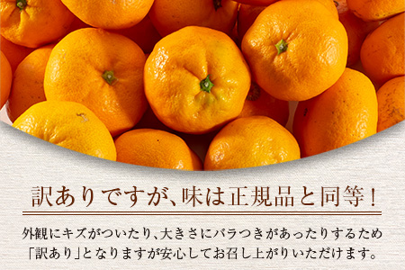 訳あり 数量限定 温州みかん 計10kg以上 ネイバーフッド 傷み補償分付き 期間限定 フルーツ 果物 くだもの ミカン 柑橘 オレンジ 人気 国産 食品 デザート おやつ おすすめ 産地直送 ご家庭