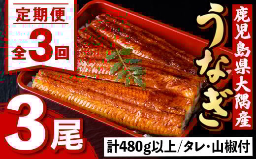 E57004 ＜定期便・計3回(連続)＞うなぎ蒲焼・大(有頭)(3尾・計480g以上?3回、タレ、山椒付)鹿児島 国産 鰻 うなぎ ウナギ 蒲焼き うな丼 うな重 ひつまぶし 土用の丑の日 真空パック お土産 贈答 ギフト プレゼント【一般社団法人きもつき宇宙協議会】