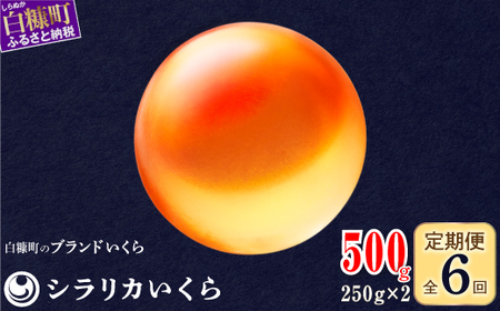 年6回お届け定期便 シラリカいくら（生いくら）【500g（250g×2）】〔お好みに味付けができます〕_K186-0924