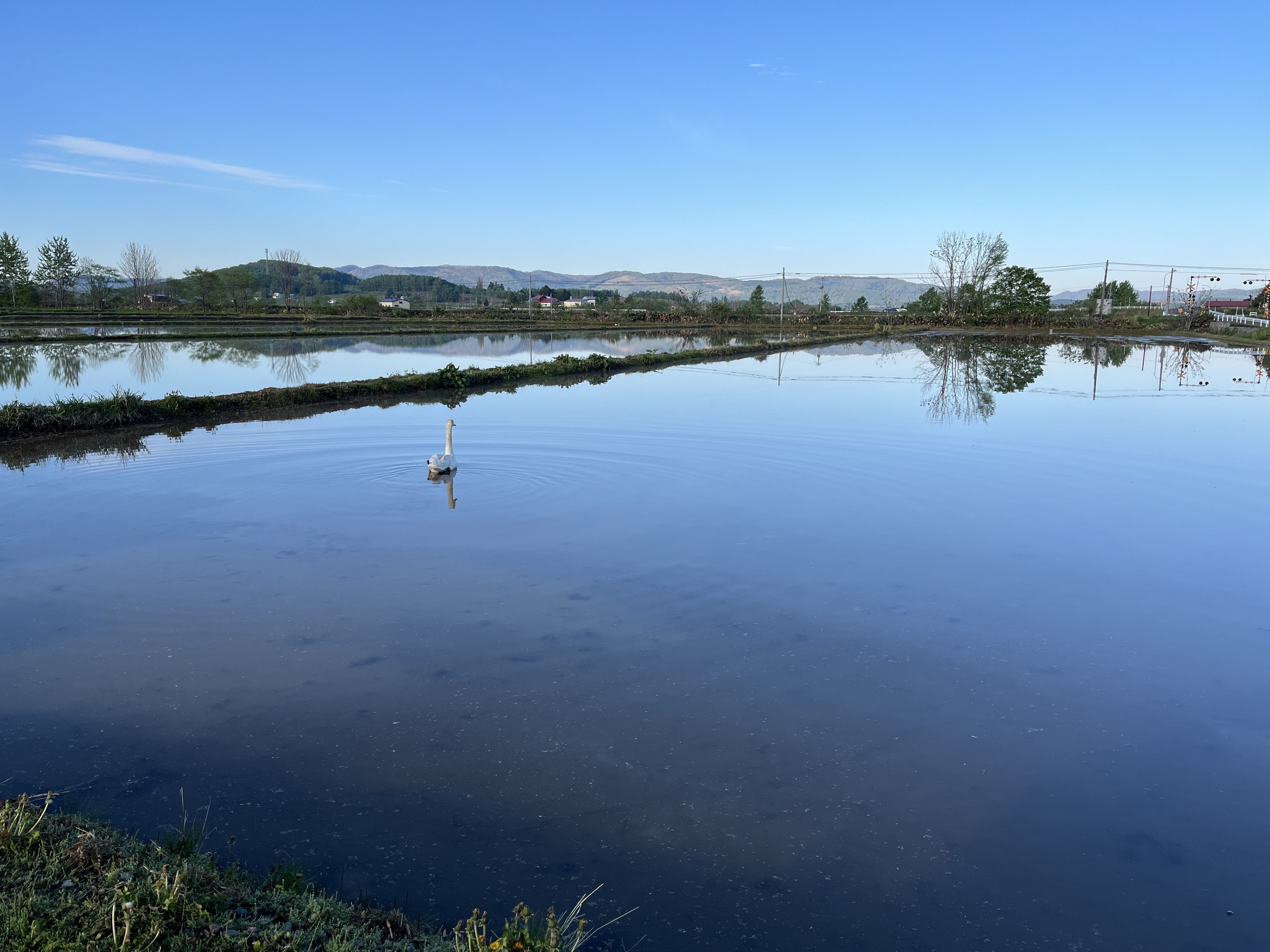 
                  【ふるさと納税】わっさむのおこめ「ゆめぴりか」2kg
                