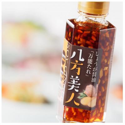 ふるさと納税 湖南市 しょうが醤油[万能たれ]　八方美人　SOY GINGER