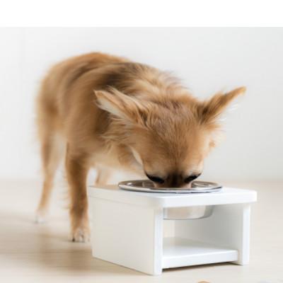 ふるさと納税 南砺市 ペット用フードボウルスタンド「わん's ボウル【シングルボウル】」S　WH