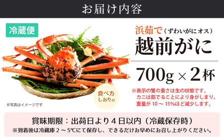 ≪浜茹で≫越前がに 小サイズ（生で700g以上）× 2杯 合計1.4Kg以上 【3月発送分】 [e14-x014_03] 食べ方しおり付【雄 ズワイガニ かに カニ 蟹 越前ガニ 姿 ボイル 冷蔵 福