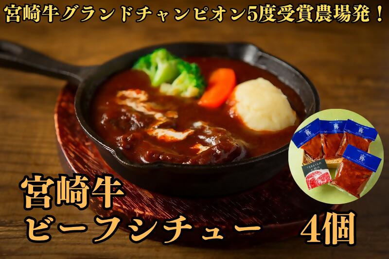 【ふるさと納税】宮崎牛ビーフシチュー　～宮崎牛グランドチャンピオン5度受賞農場発！_DI-005